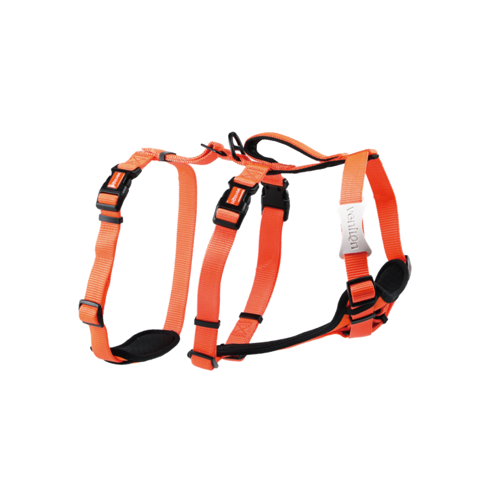 Harness for Dogs
